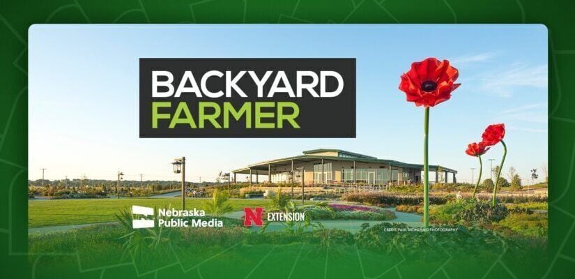 Backyard Farmer Live Recording