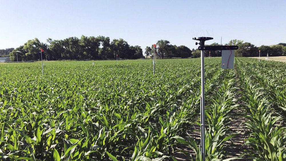 Researchers to tackle irrigation decision-making via USDA grant - Grand Island Independent