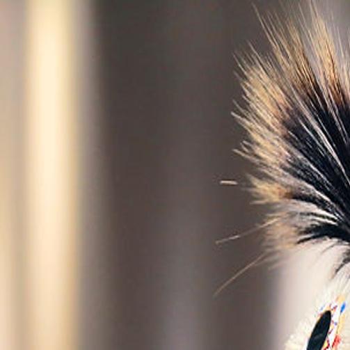 Festival Aims To Educate Students On Modern Native American