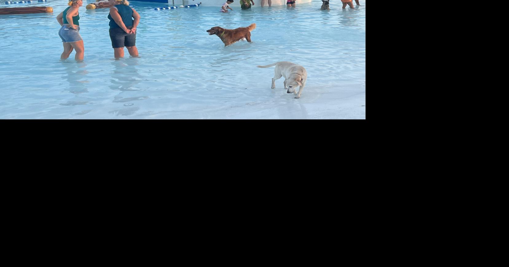 Drool in the Pool set for Aug. 10; benefits Humane Society