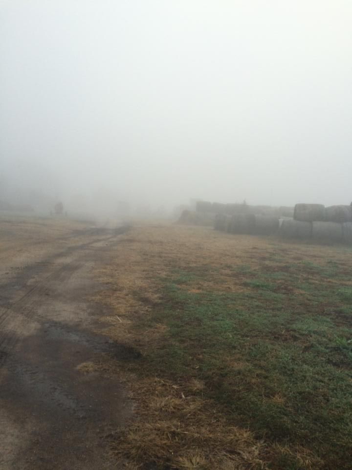 Dense fog in Central Nebraska Grand Island Local News