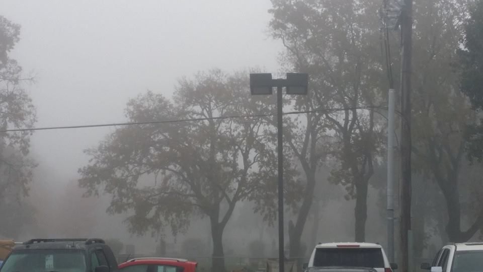 Dense fog in Central Nebraska Grand Island Local News