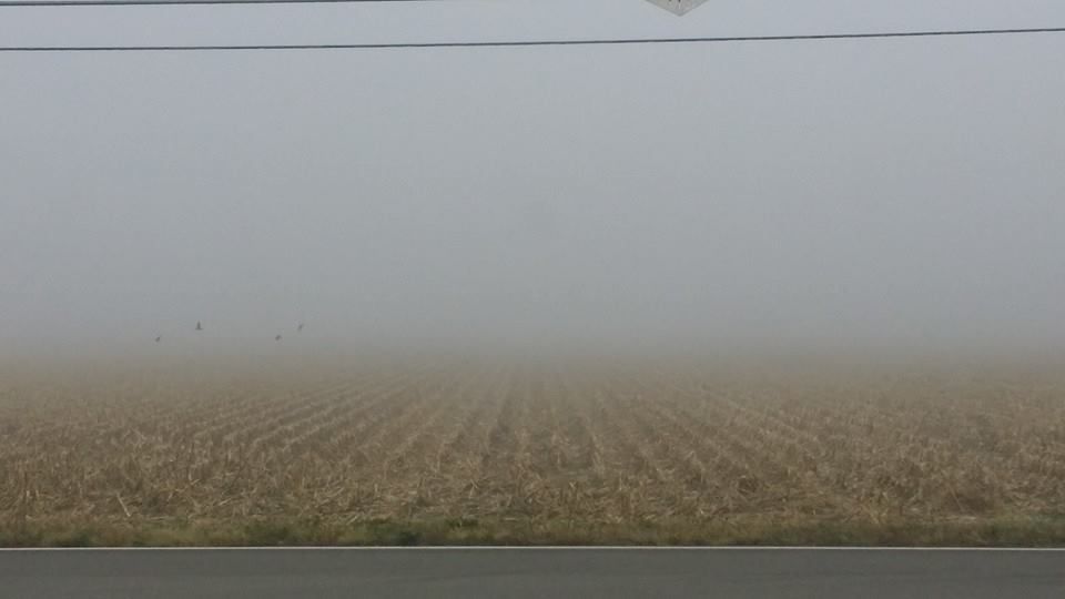 Dense fog in Central Nebraska Grand Island Local News