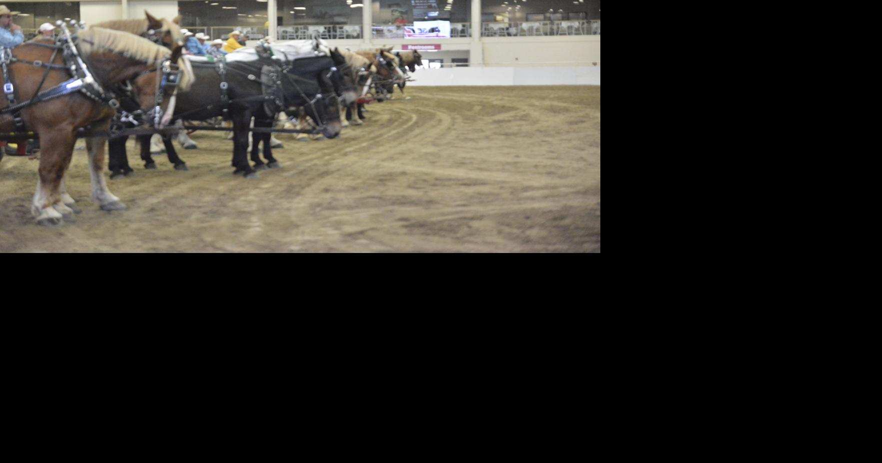 Draft Horse Farm Team Show Outtakes, Saturday, August 25, 2018