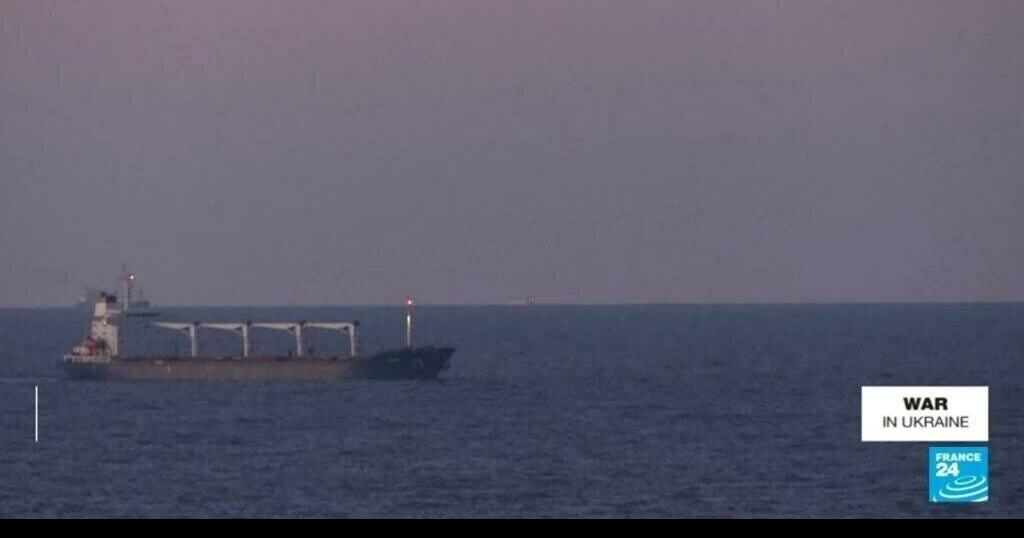 Ukraine grain ship: First shipment since Russia’s invasion reaches Turkey