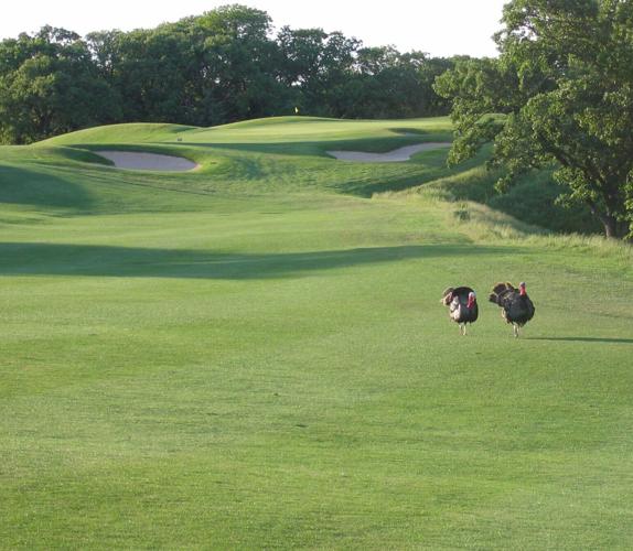 GrayBull golf course growing into gem near Maxwell