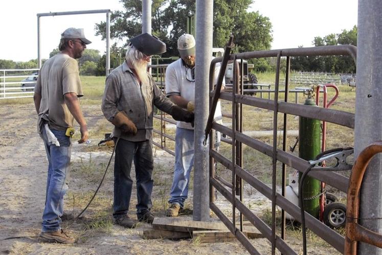 Group effort helps Taylor put rodeo arena up in five days