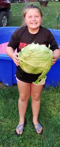 big cabbage - Aubrey Baltz