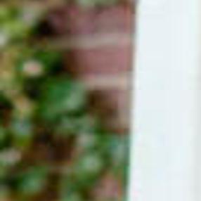 Patsy Arnold 58 Grand Island Obituaries Theindependent Com