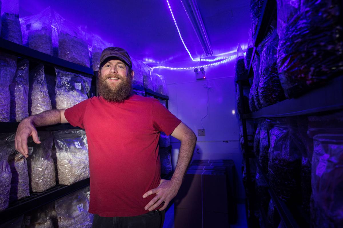 Nebraska Raised Mushrooms Are Catching On With Chefs And Home Cooks Latest News Theindependent Com