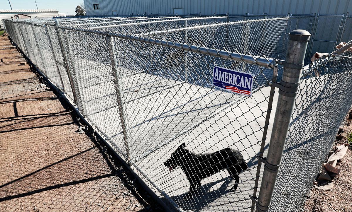 Central Nebraska Humane Society unveils 14 new outdoor kennels Local