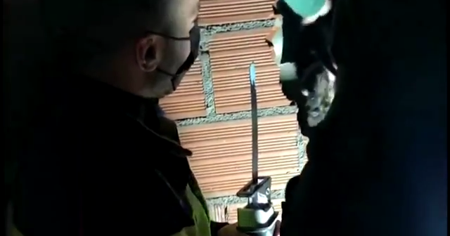 Spanish police rescue puppy stuck in a pipe, and more of today