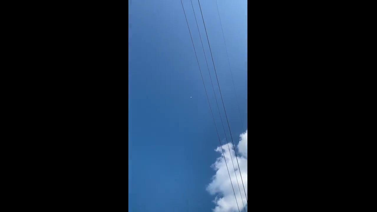 Hasan Khalil Bird Training Theindependent Com Blox piece is a game is that was inspired by the famous anime one piece, in this post we provide you with active blox this the full list of blox piece devil fruit with the description and price of each fruit. the grand island independent