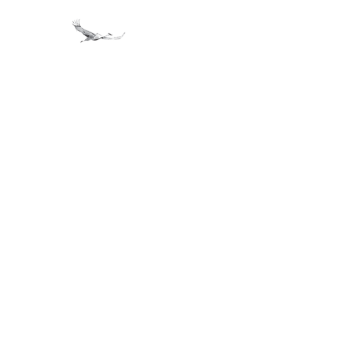 Where-your-story-lives | theindependent.com
