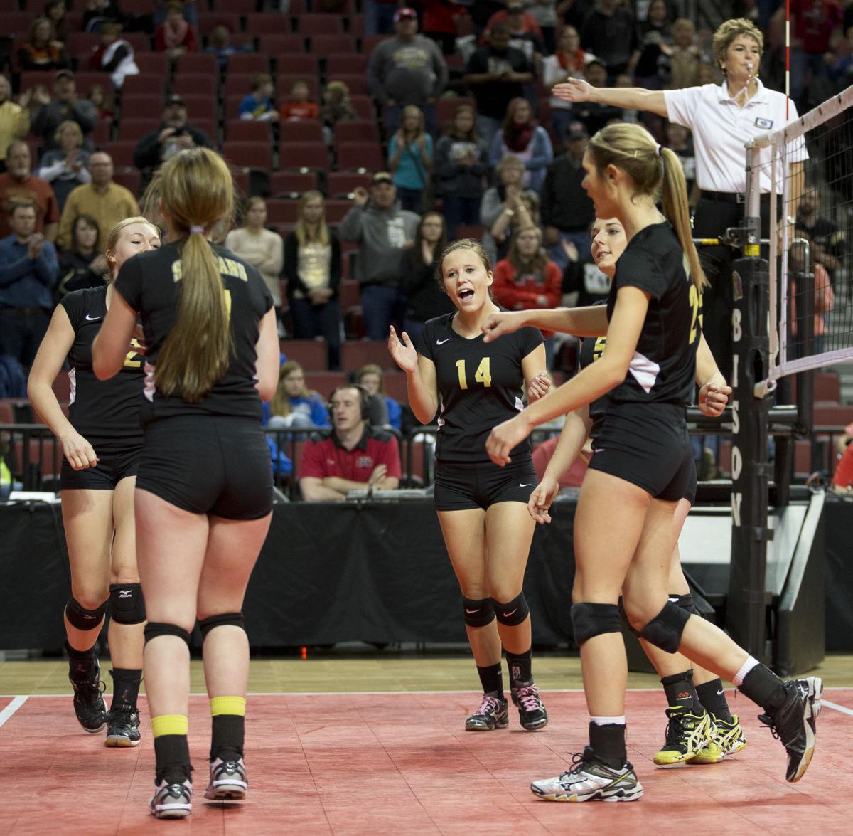 Ansley/Litchfield controls net to advance to D-1 final