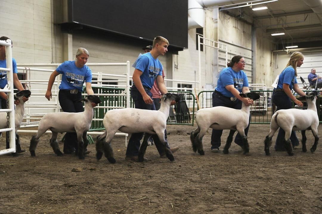 Hall County Fair kicks off today