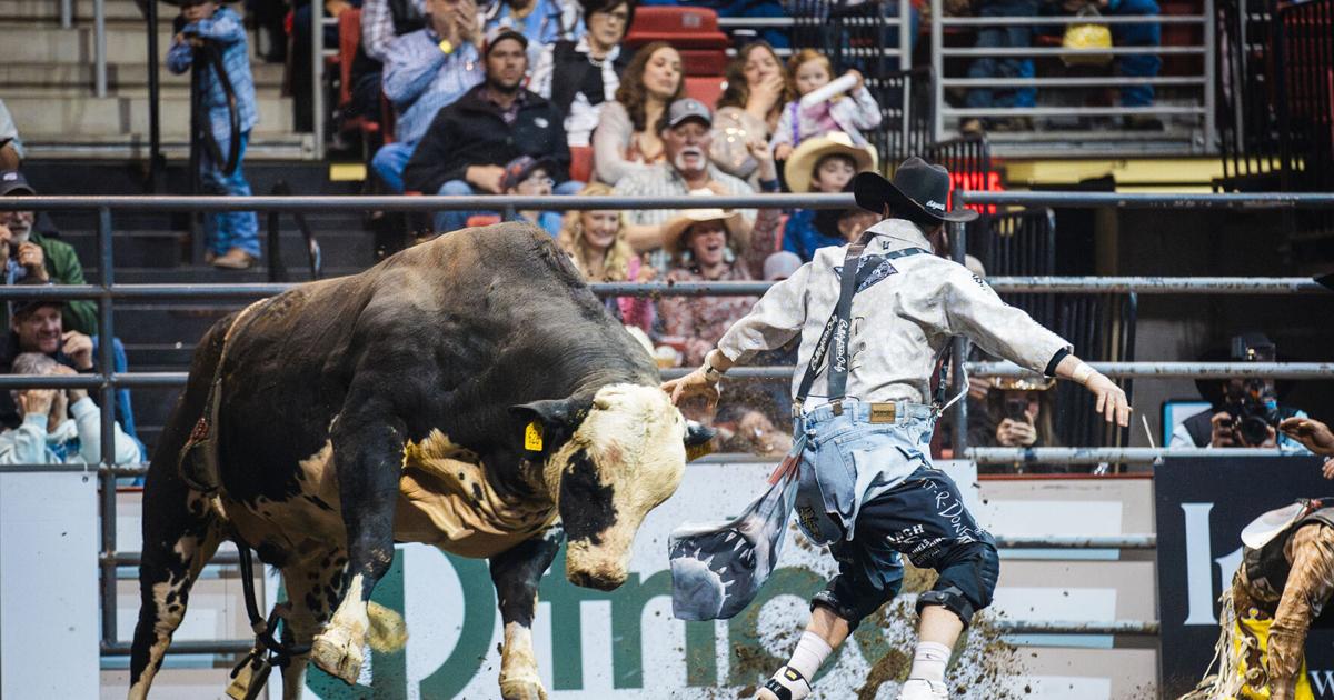 Gatton Rodeo Sutton Rodeo is coming to Grand Island this weekend