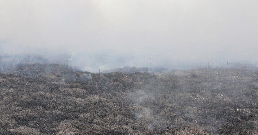 Nebraska Farm Bureau Disaster Relief Fund provides $365,000 to farmers and ranchers