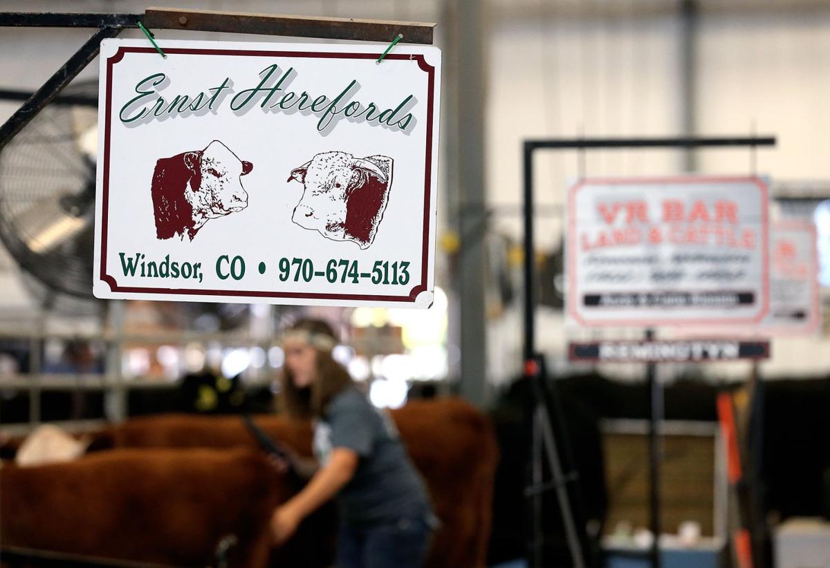 Nebraska State Fair tells the story of livestock ...