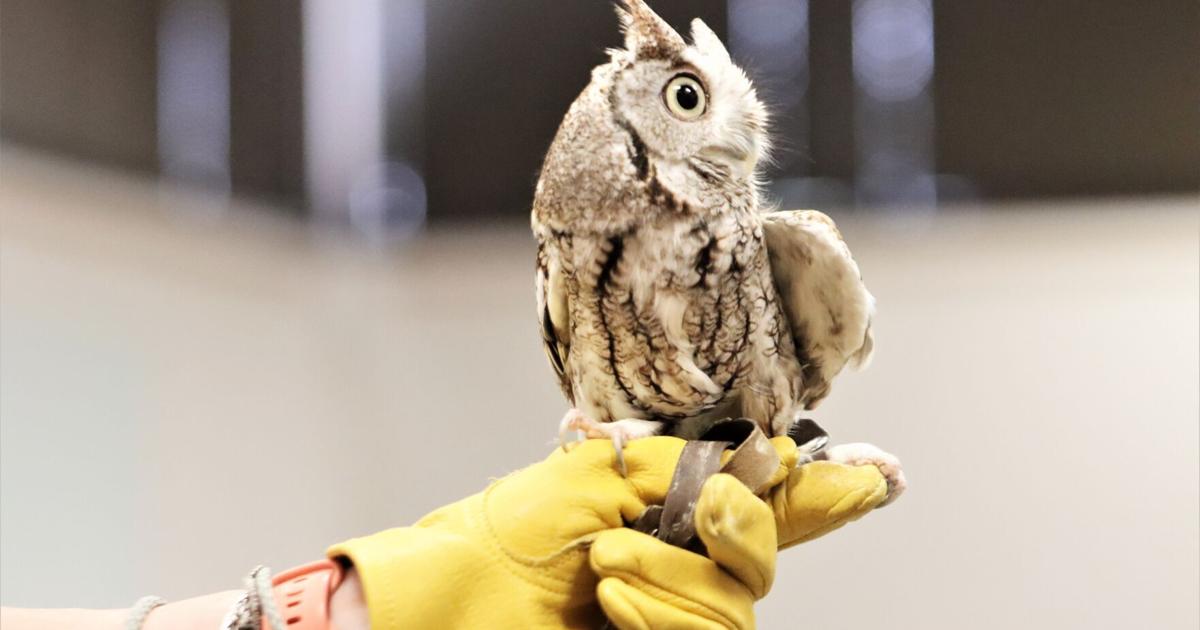 What s Going On Area Events Calendar what-s-going-on-area-events-calendar