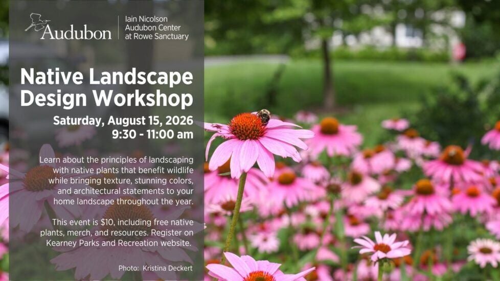 Native Landscape Design Workshop