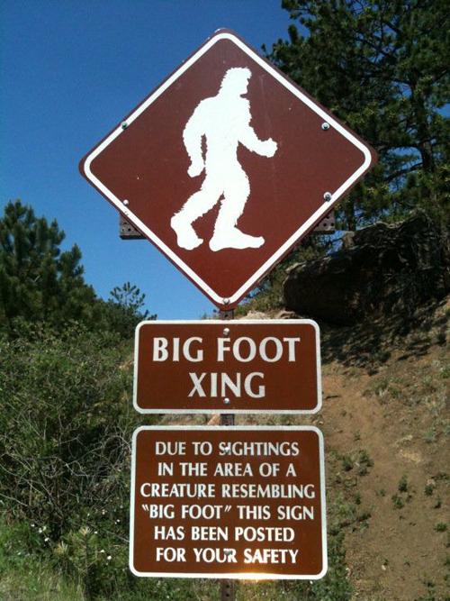 FILE PHOTO: Bigfoot Xing