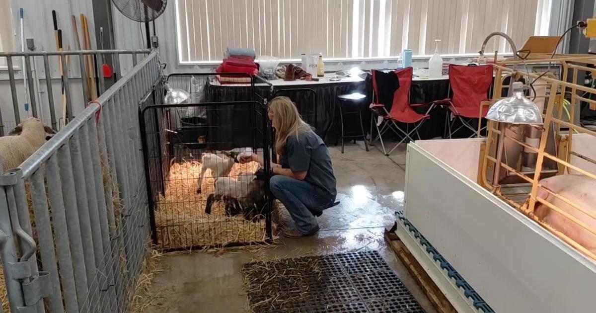 Nebraska State Fair Birthing Pavilion 2026