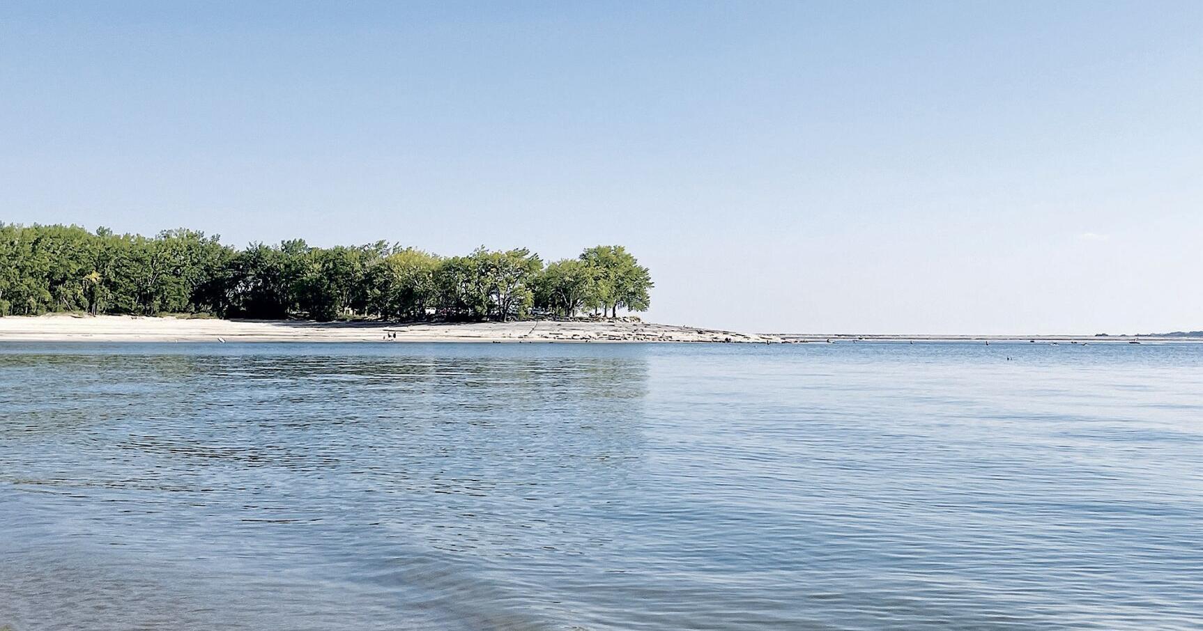 Ayoub: A beach reading list in April - Vimarsana News