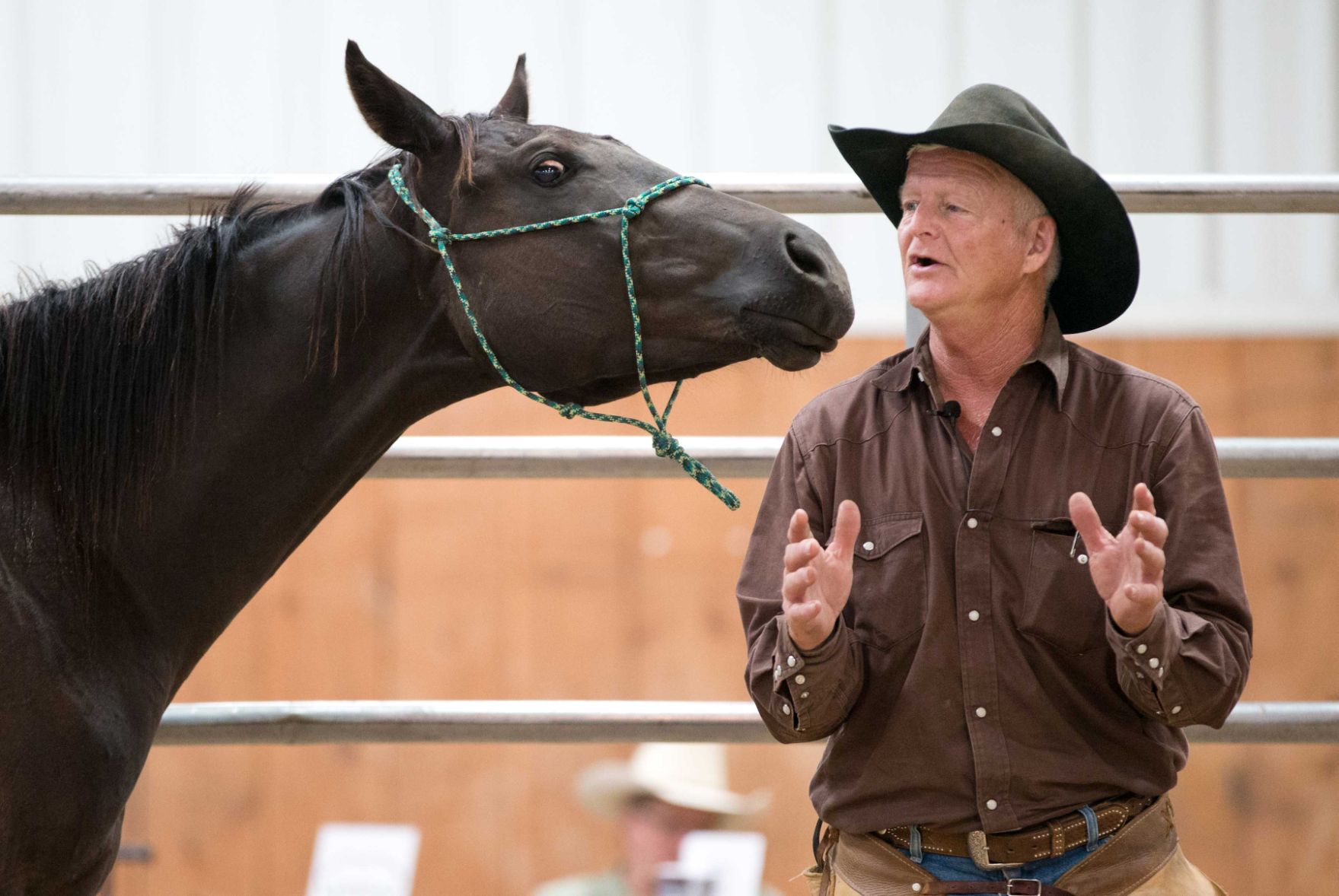 Wild Horse Ministries: Drawing parallels between horse training and a 