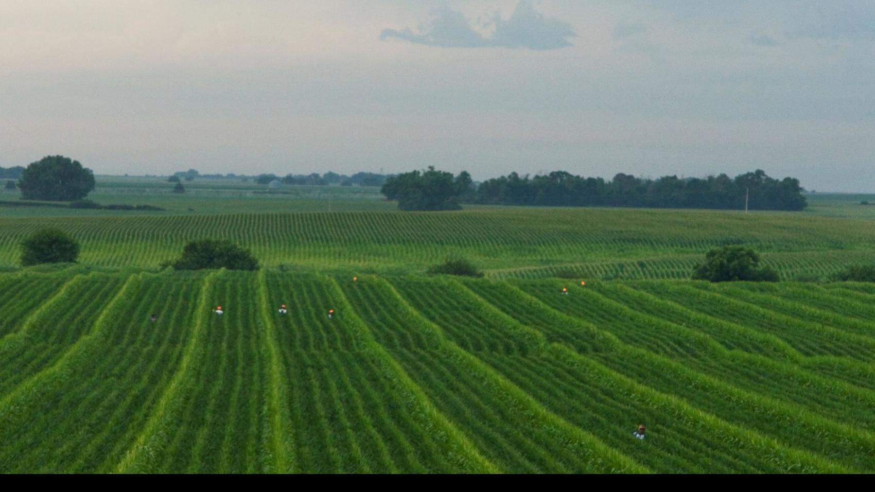 Man In His 50s Missing Between Grand Island And Cairo Grand Island Local News Theindependent Com