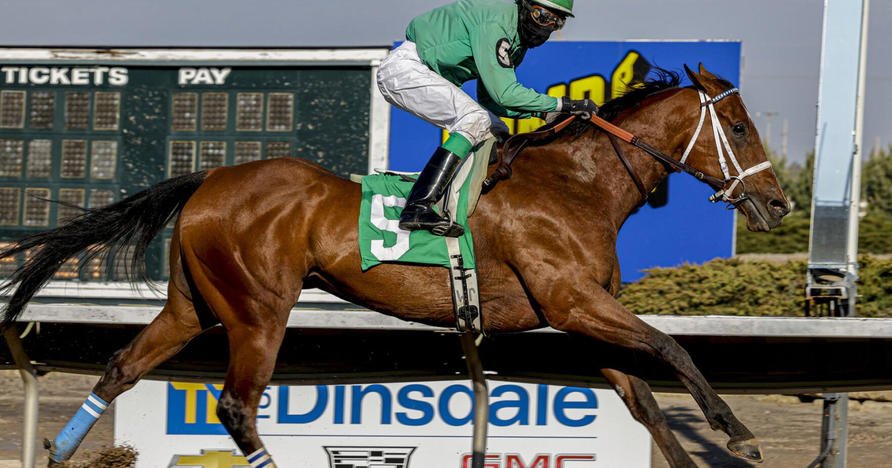 P R Odds Setter gets win in Springtime stakes - Vimarsana News
