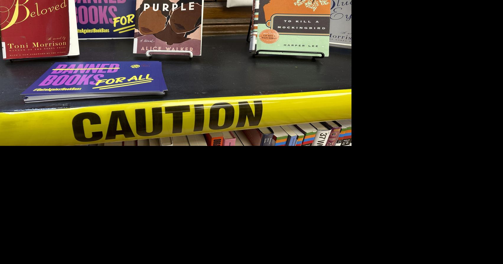 George M. Johnson’s ‘All Boys Aren’t Blue’ tops 2024 list of most ‘challenged’ US library books