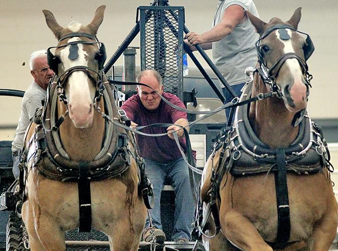 Extra night of draft horses added to State Fair schedule