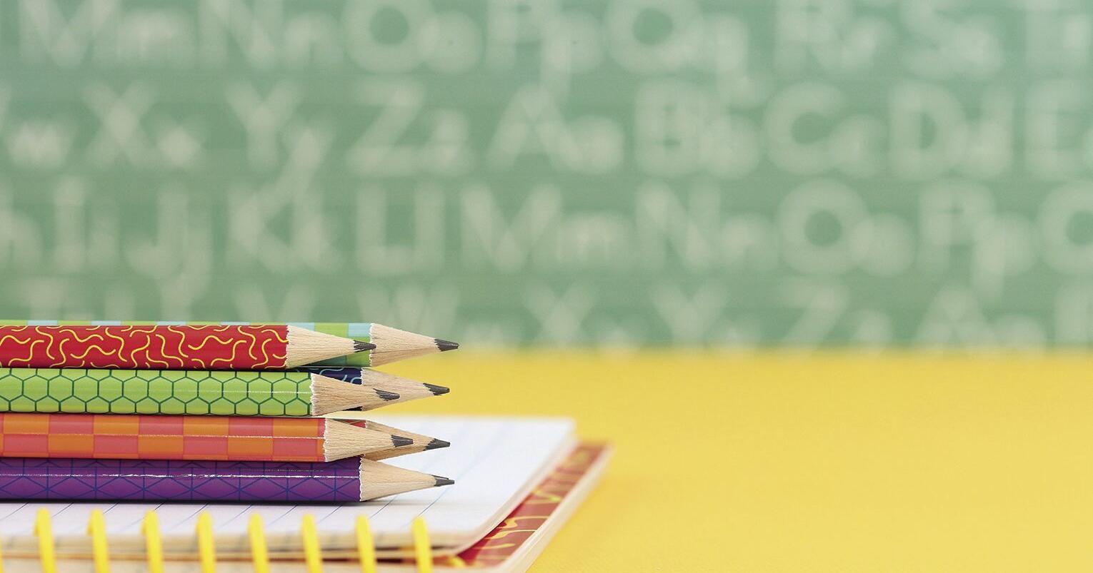 Grand Island 'Mayor For a Day' essay contest winners announced - Vimarsana News