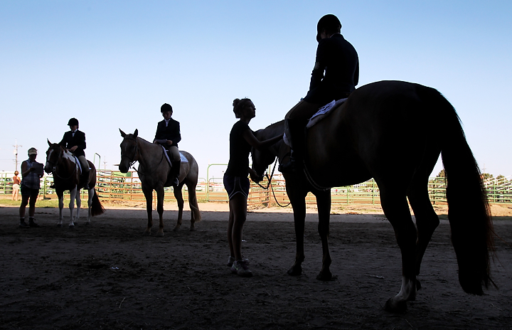 Working with horses helps 4-H'ers learn life skills