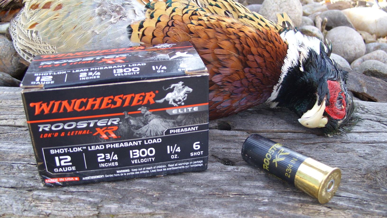 Load Selection Key To Pheasant Success Grand Island Sports Theindependent Com Load Selection Key To Pheasant Success Grand Island Sports Theindependent Com