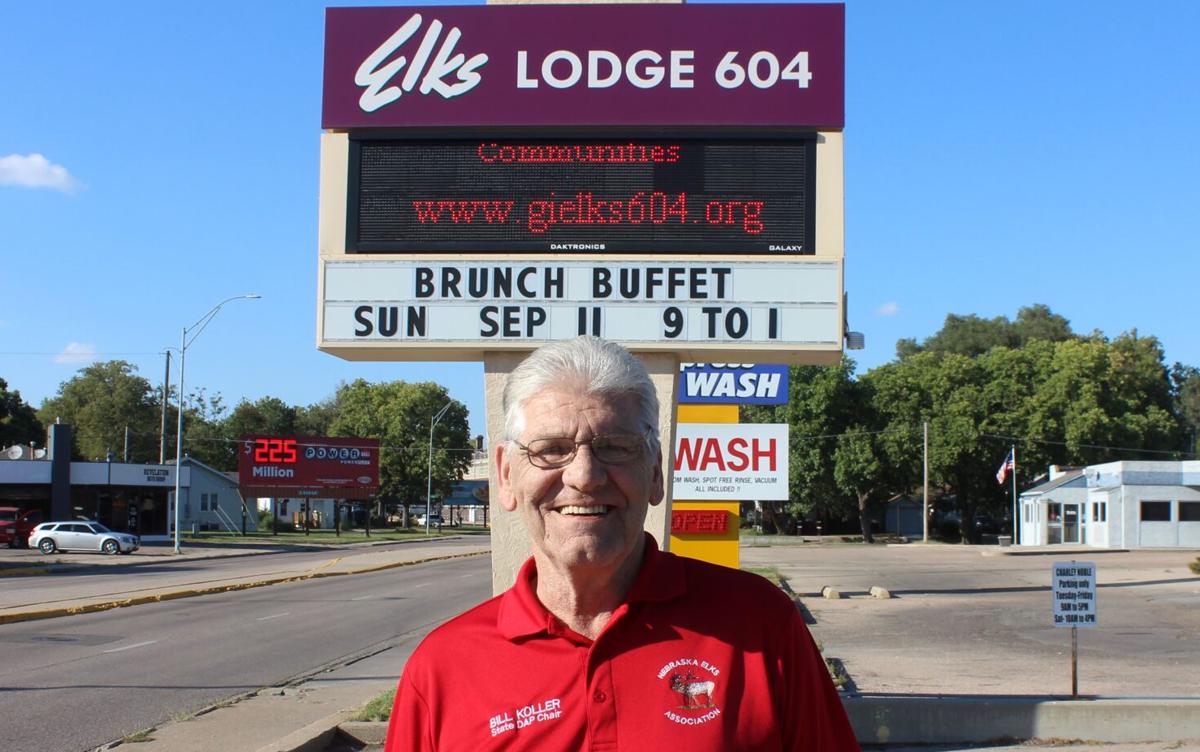Lodge Member T-Shirt Old Elks Never Die They Just Dislodge Lodge Member T-Shirt Old Elks Never Die They Just Dislodge