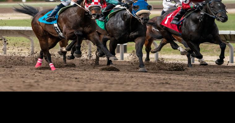 Big Money Bolsters Equestrian Endurance Race - The New York Times