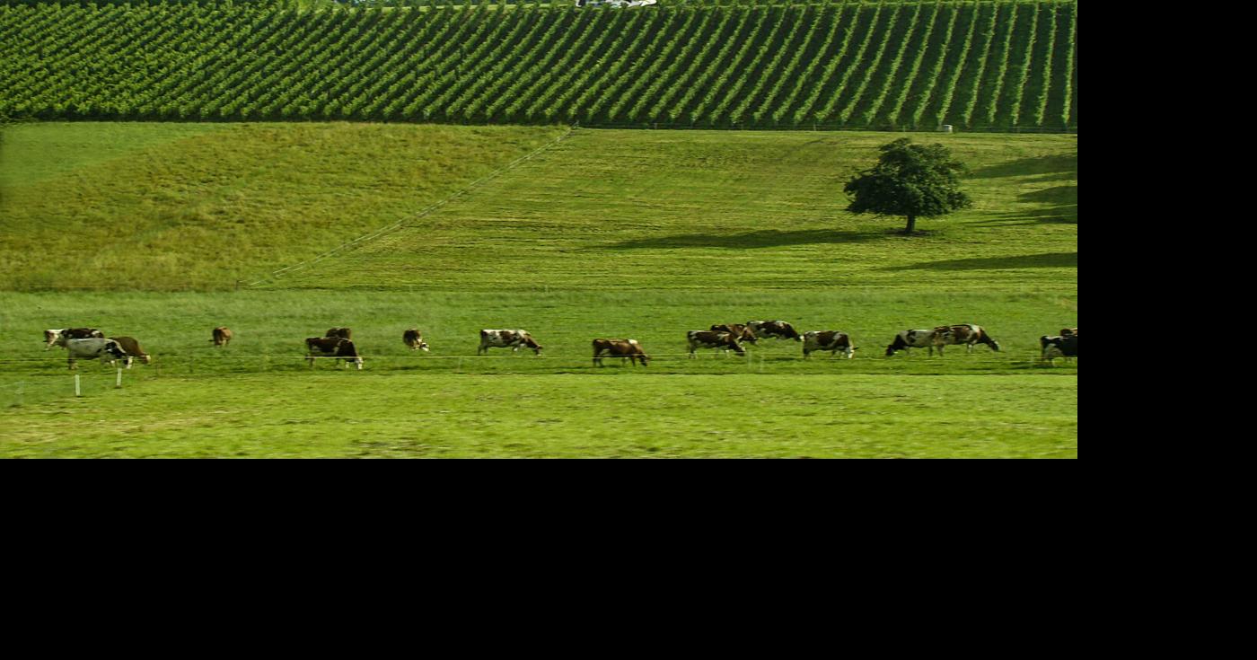 Nebraska Grazing Conference planned in Kearney