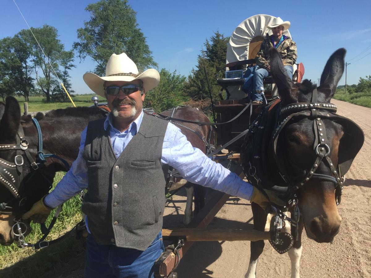 Group tracing Mormon Trail in covered wagon