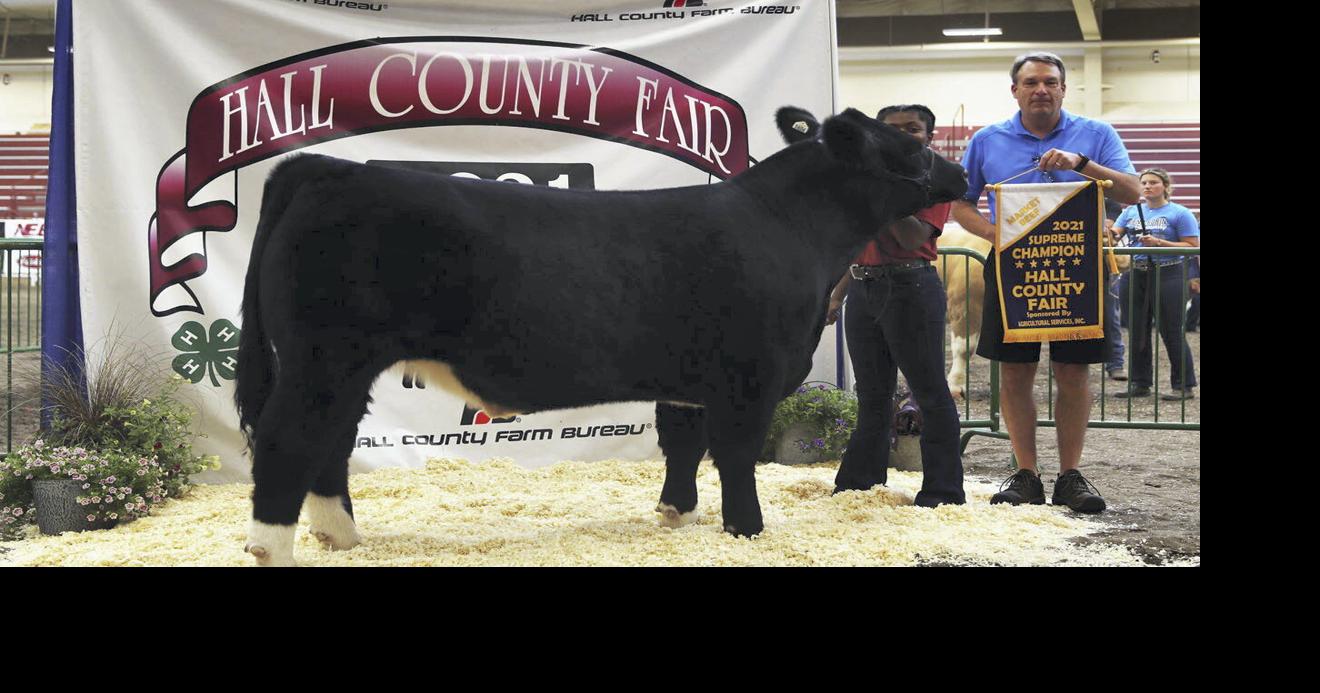 Saddle Club pays $5,500 for champion steer during 4-H Livestock Show