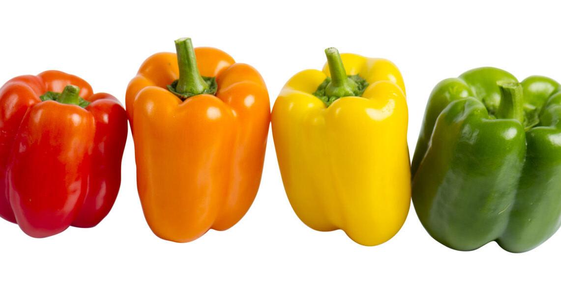 Cami Wells: Bell peppers: Colorful, tasty & nutritious - Vimarsana News
