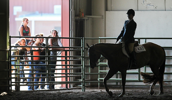 Working with horses helps 4-H'ers learn life skills