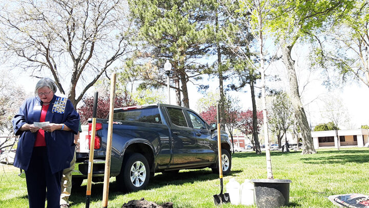 City of Grand Island celebrates Arbor Day | Grand Island ...