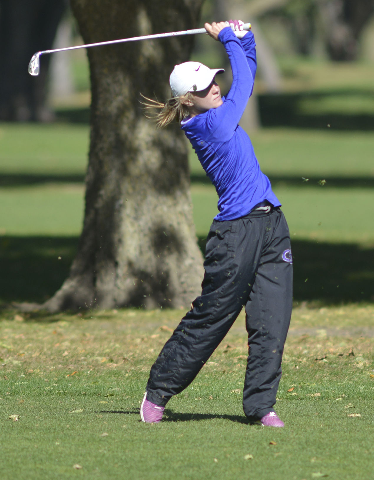 State Golf: GISH's Harris tied for eighth in Class A