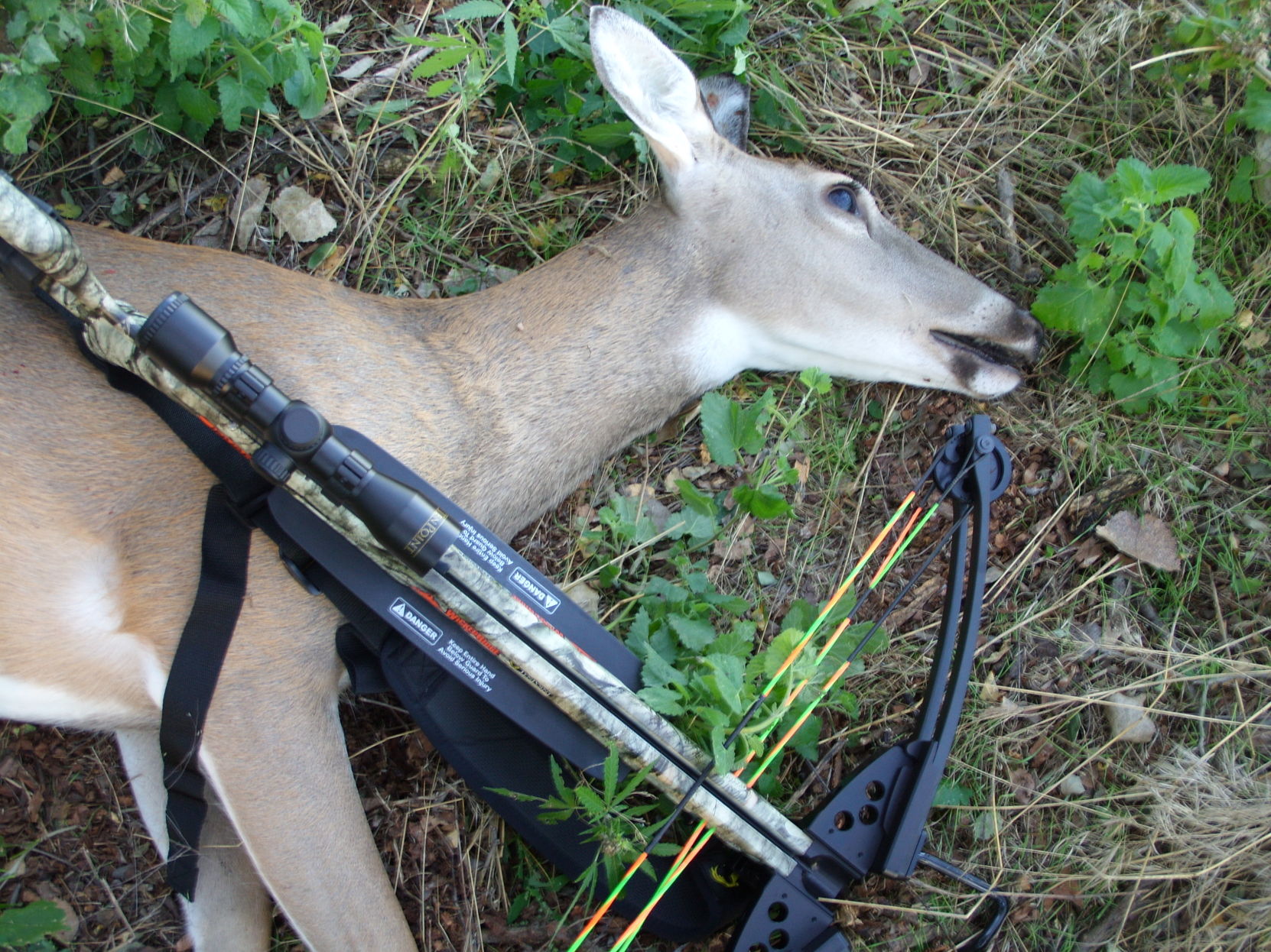 Crossbows for deals deer hunting