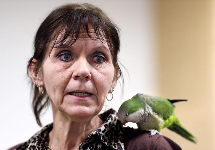 Meetandgreet with exotic animals at the library