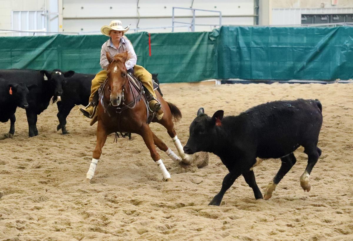 Her spirit rides on Cutting horse event honors late competitor