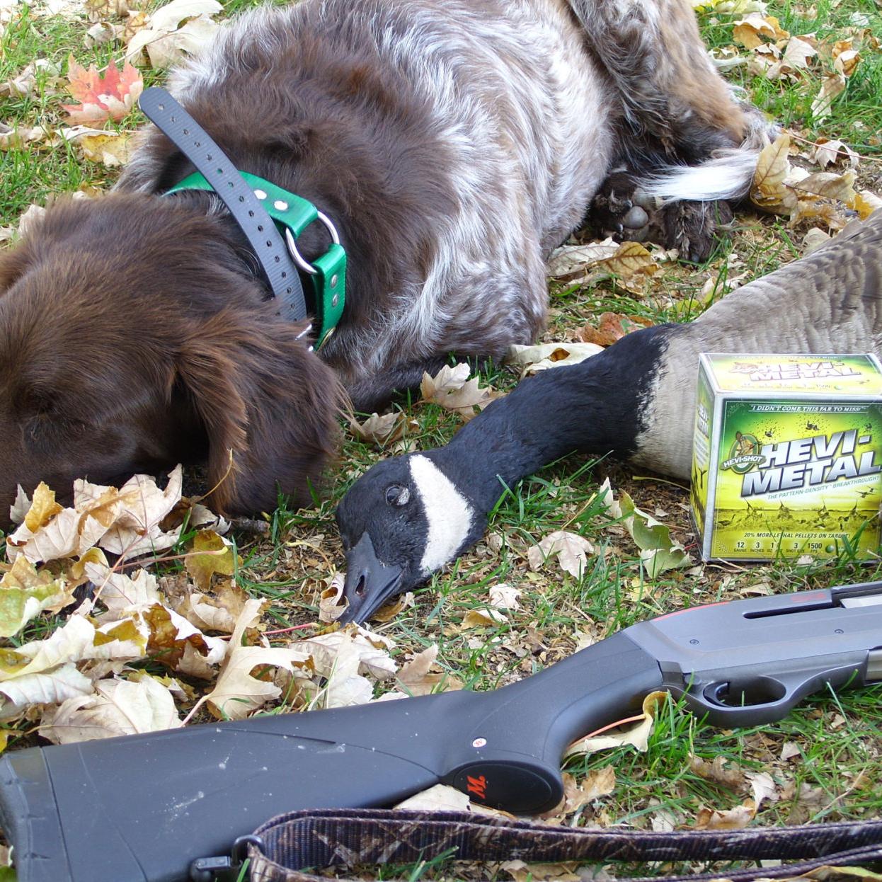 Lots Of New Gear For Waterfowlers Sports Theindependent Com