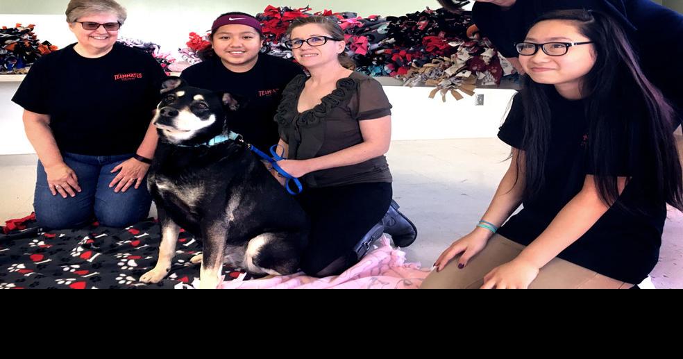 TeamMates make, donate blankets for Humane Society animals